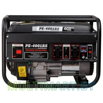 Бензиновый генератор ECO PE-4001RS Black Edition картинка 3
